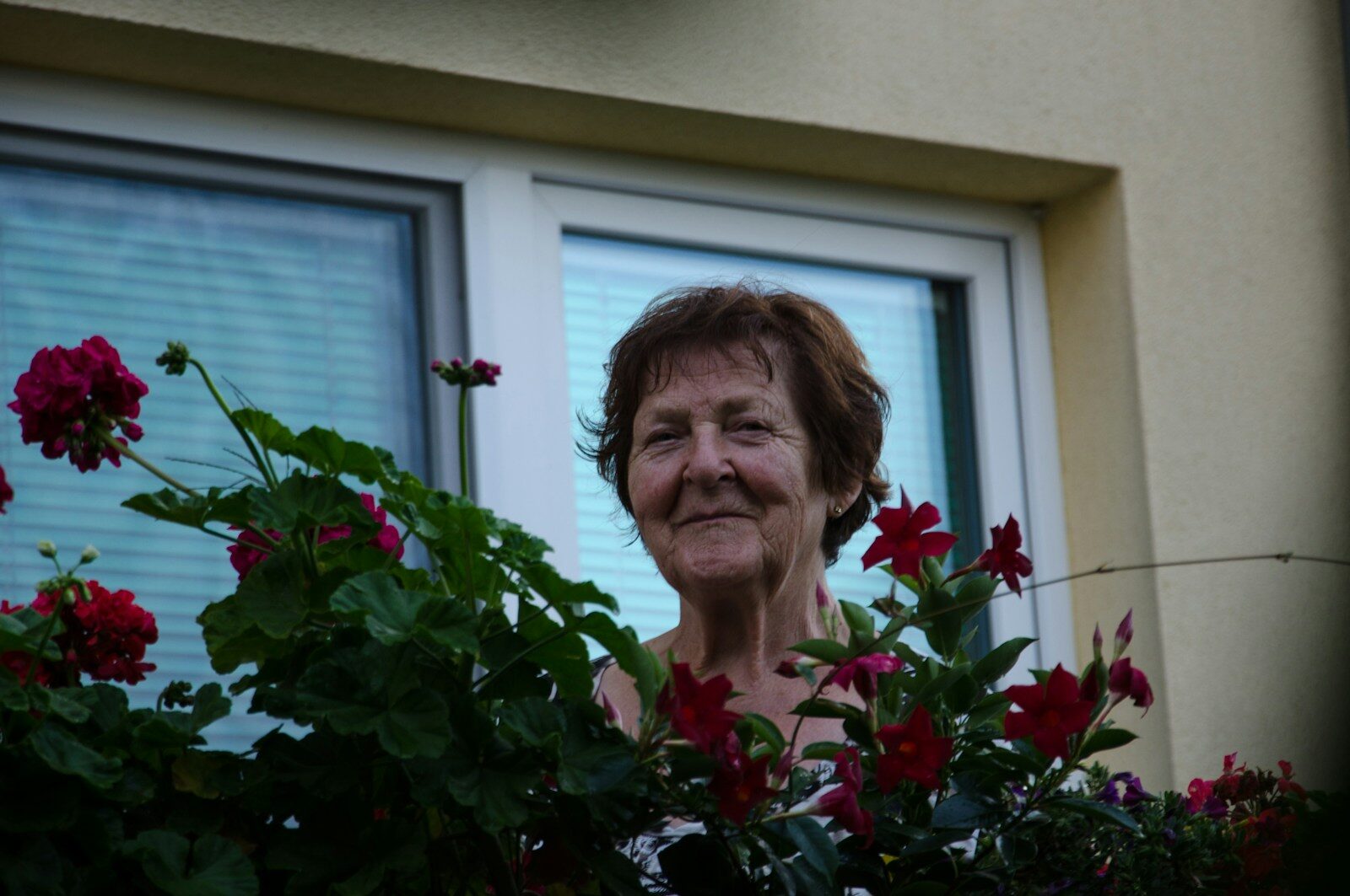 Pamela Hussey